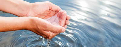 Sustainability - Pair of Hands Holding Water